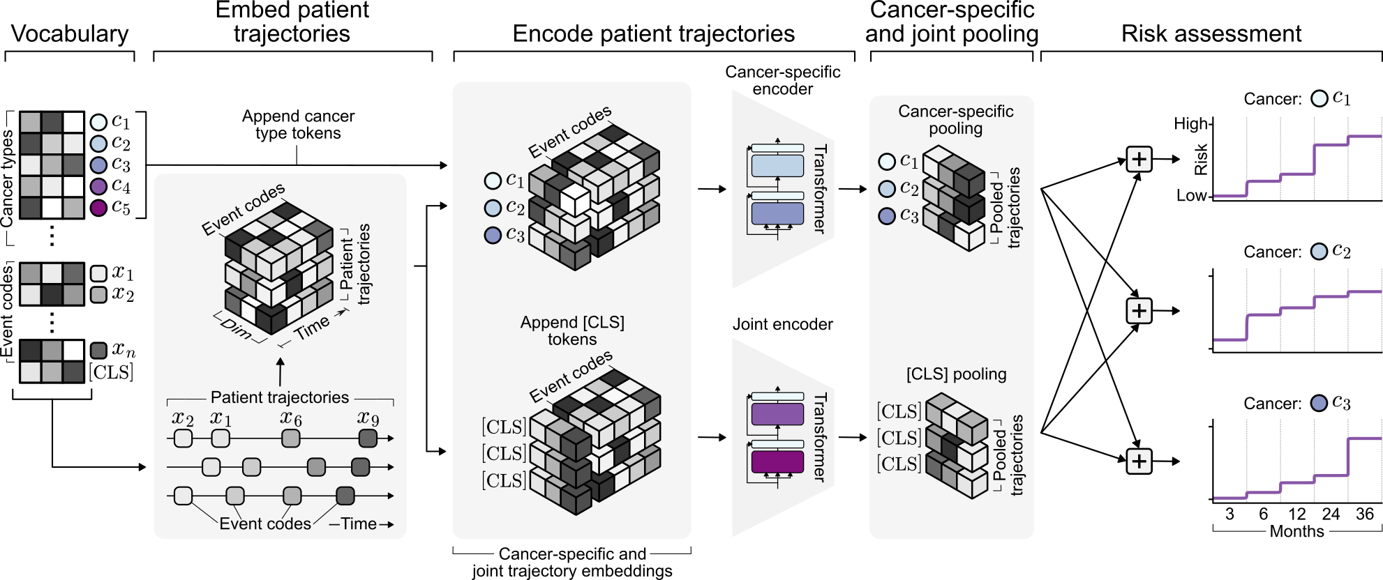 Transformer architecture for multi-cancer risk pooled trajectory modelling.