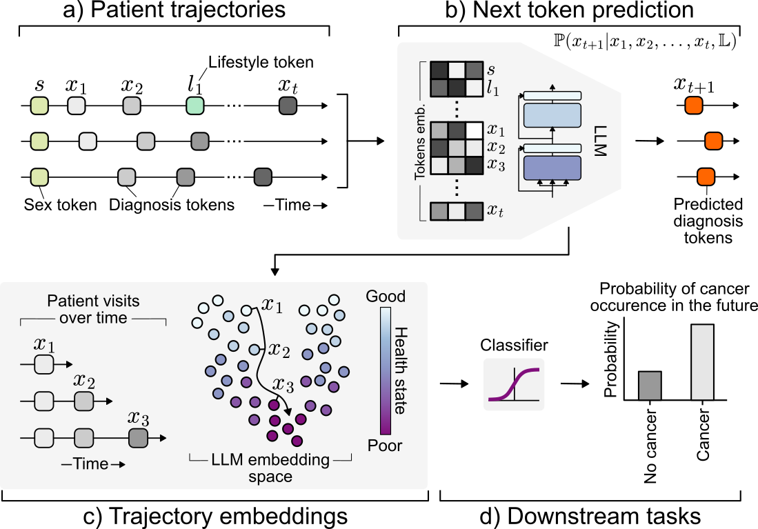 Diagram showing patient trajectories, token embeddings, and downstream prediction.